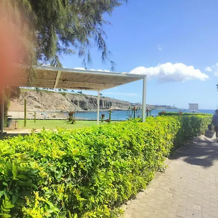 招待所 Maspalomas Pasito 帕斯托布兰克